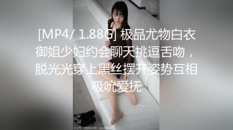 你的女神有钱人的母狗，推特金主【优雅金领S】订阅 有钱又会玩女，各种拜金外围女模臣服屌下，露出调教啪啪让人羡慕 (12)