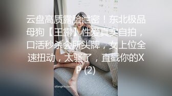 淫语乳首责めでダメ执事を连続射精！！社长令嬢のお仕置きサディスティックROOM