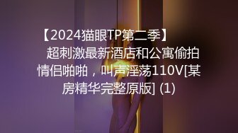 【2024猫眼TP第二季】☀️☀️超刺激最新酒店和公寓偷拍情侣啪啪，叫声淫荡110V[某房精华完整原版] (1)