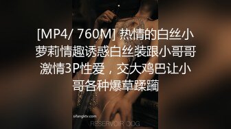 色情会计.我的规矩就是不做爱不报销-多乙