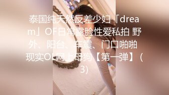 泰国纯天然反差少妇「dream」OF日常露脸性爱私拍 野外、阳台、车震、门口啪啪 现实OL网上母狗【第一弹】 (3)