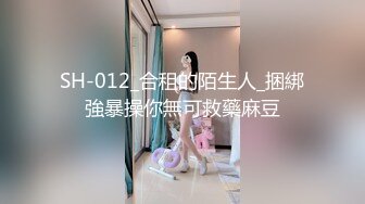 SH-012_合租的陌生人_捆綁強暴操你無可救藥麻豆