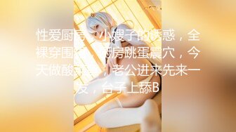 ★☆全网推荐☆★私房热帖网红大学生极品反差婊母狗陈洁莹也中招怀孕了，但依旧玩的很花