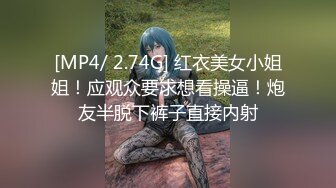 MSD-049.陈美琳.调教女仆美娇娘.确认湿润后忘情操干.麻豆传媒映画