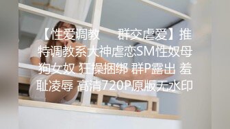 [MP4]D罩杯美乳小骚货 伸进内裤摸穴 搞得小脸红扑扑 后入大肥臀