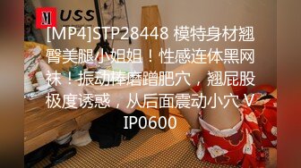 [MP4]STP28448 模特身材翘臀美腿小姐姐！性感连体黑网袜！振动棒磨蹭肥穴，翘屁股极度诱惑，从后面震动小穴 VIP0600