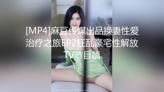 [MP4]麻豆传媒出品换妻性爱治疗之旅EP2狂乱豪宅性解放TV节目篇