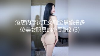 酒店内部员工女厕全景偷拍多位美女职员的小黑鲍2 (3)