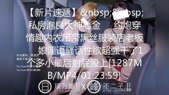 91经典系列资源整理合集P2【105V】 (29)