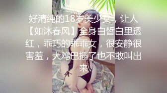 【91情趣探花】兄弟3P极品外围空姐，情趣黑丝前后夹击好淫荡，超清3K设备【水印】