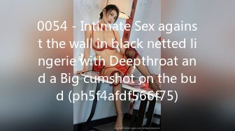 0054 - Intimate Sex against the wall in black netted lingerie with Deepthroat and a Big cumshot on the bud (ph5f4afdf566f75)