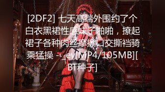 【AI换脸视频】孙俪 《咱们结婚吧-H版》[上]