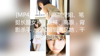 [MP4/ 296M] 高挑空姐、笔挺长腿女神，丝袜、高跟，背影杀手，必须狠狠满足她，干得她嗷嗷叫！