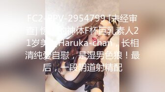 FC2-PPV-2954799 [未经审查] 惊人的神体F杯巨乳素人21岁美女Haruka-chan，长相清纯爱自慰，是湿男色狼！最后，一段阴道射精配