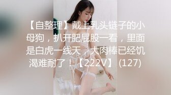 长腿翘臀会自吸的少妇