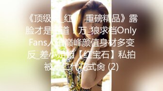 《顶级网_红☀️重磅精品》露脸才是王道！万_狼求档OnlyFans人造巅峰颜值身材多变反_差小姐姐【红宝石】私拍被富二代花式肏 (2)