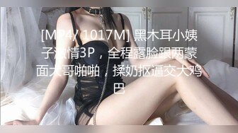 麻豆传媒 MDWP-0027 淫行家具展 偷窥情侣激情野战 赖畇希