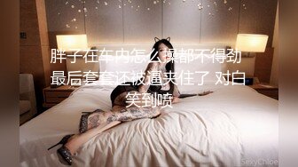 91茄子 骚货女租客黑丝勾引房东激情偷情