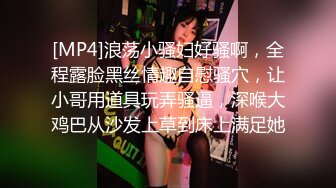 双十一买的玩具到货了邀请绿主前来帮女友验货