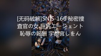 [无码破解]SNIS-166 秘密捜査官の女 巨乳エージェント恥辱の報酬 宇都宮しをん