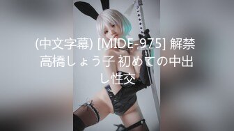 (男尊女卑)(fc3393492)おまけ6本-顔晒し美脚スレンダーなモデルボディーの女に合計3発中出し。「本気で孕ませたい」そう思った女。 (3)