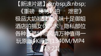 顽皮的巨乳女仆斯特拉考克斯她的肛门乱搞大鸡巴老板