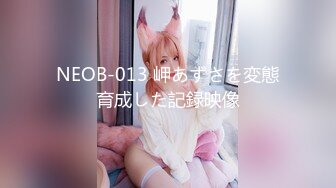 NEOB-013 岬あずさを変態育成した記録映像