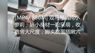 麻豆传媒，红斯灯影像RS-029初恋之晴道与野英的性爱特辑