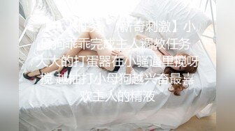 另一只巨乳骚母狗，嘴上说着不要下面却流了很多水