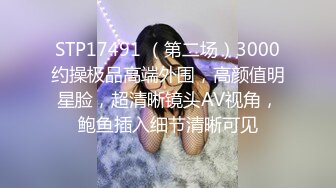 STP17491 （第二场）3000约操极品高端外围，高颜值明星脸，超清晰镜头AV视角，鲍鱼插入细节清晰可见